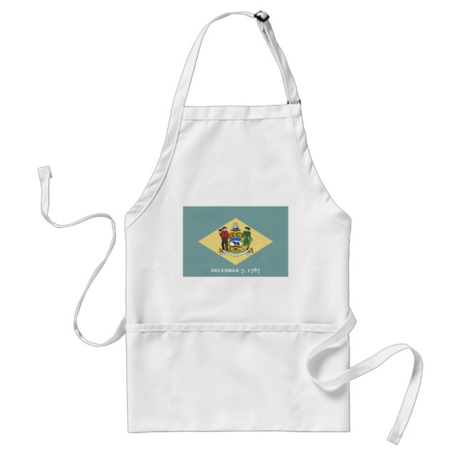 Delaware Statlig flagga Förkläde (Framsidan)
