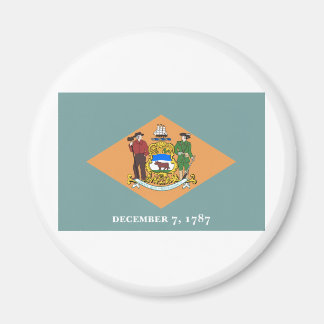 Delaware Statlig flagga Magnet