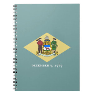 Delaware statsflagga anteckningsbok