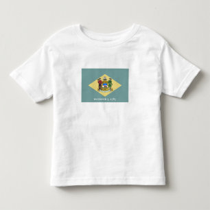 Delaware statsflagga t shirt