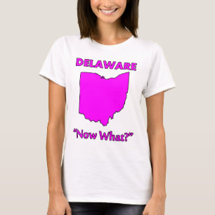 Delaware - Vad nu? T Shirt