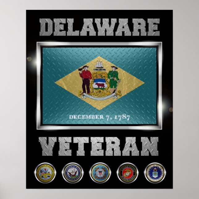 Delaware Veteran Poster (Framsidan)