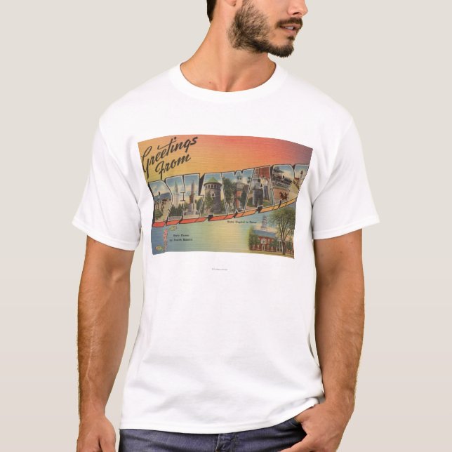 DelawareLarge brev ScenesDelaware Tee (Framsida)