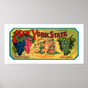 Deldruvor från New York Poster