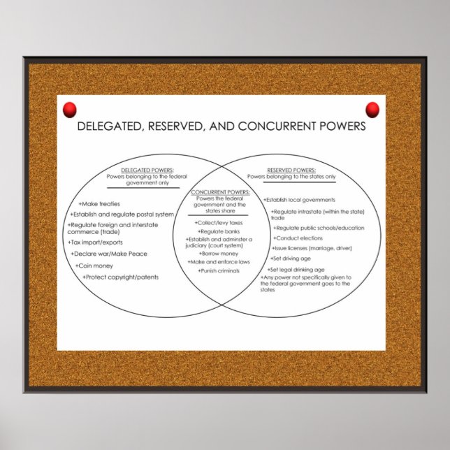 Delegerade, reserverade, samtidiga befogenheter *U Poster (Framsidan)