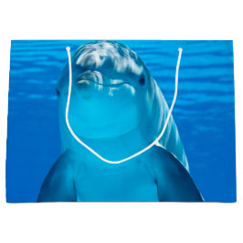 Delfin