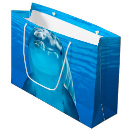 Delfin