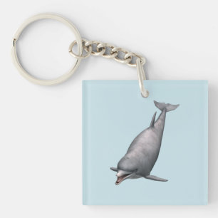 Delfin