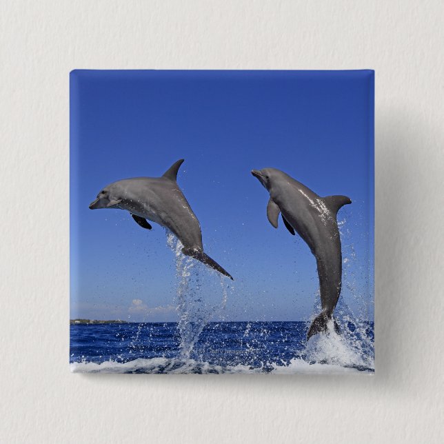 Delfin 2 knapp (Framsida)