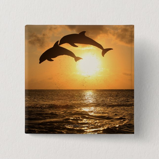 Delfin 3 knapp (Framsida)