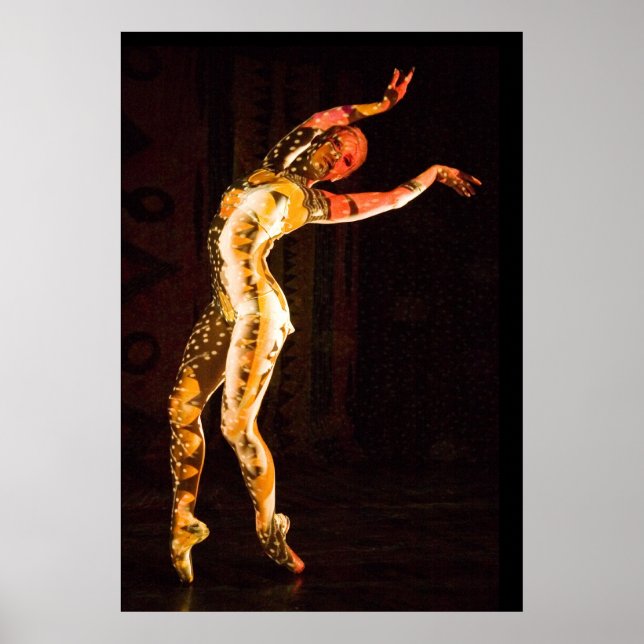 Delfin-4653 Poster (Framsidan)