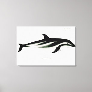 Delfin Canvastryck