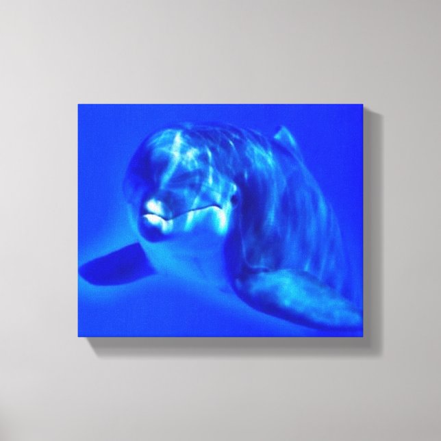 Delfin Canvastryck (Framsida)