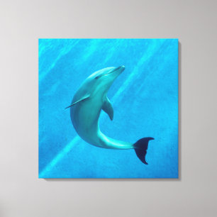 Delfin Canvastryck