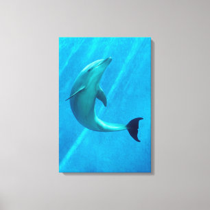 Delfin Canvastryck