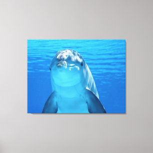 delfin canvastryck
