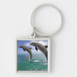 Delfin Delphin, mer grosser Tuemmler, Tursiops 4 Fyrkantig Silverfärgad Nyckelring