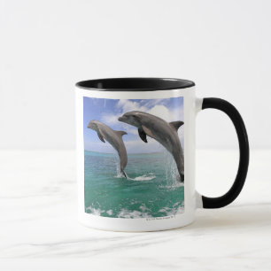 Delfin Delphin, mer grosser Tuemmler, Tursiops 4 Mugg