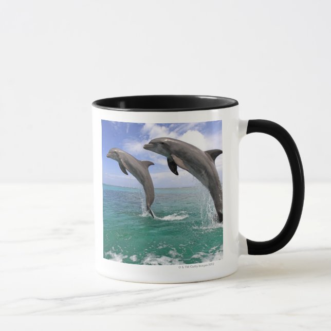 Delfin Delphin, mer grosser Tuemmler, Tursiops 4 Mugg (Höger)