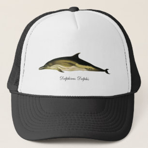 Delfin Delphinus Delphis, antika marina djur Keps