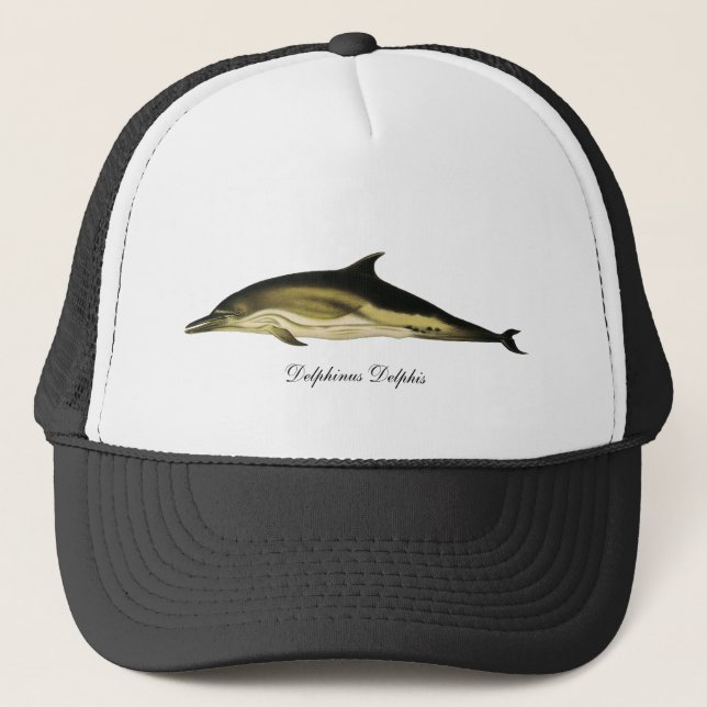 Delfin Delphinus Delphis, antika marina djur Keps (Framsida)