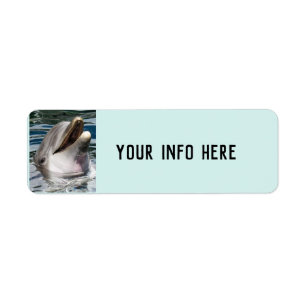 Delfin FOTO RETURADRESS ETIKETTER