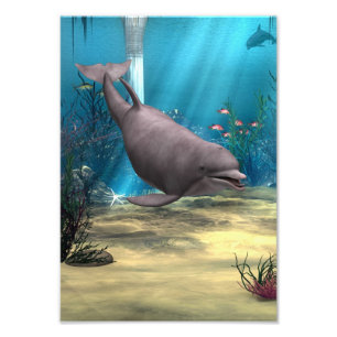 Delfin Fototryck