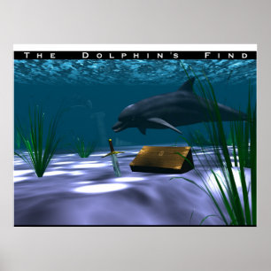Delfin fynd poster