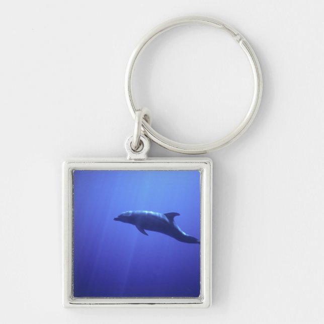 Delfin Fyrkantig Silverfärgad Nyckelring (Framsidan)