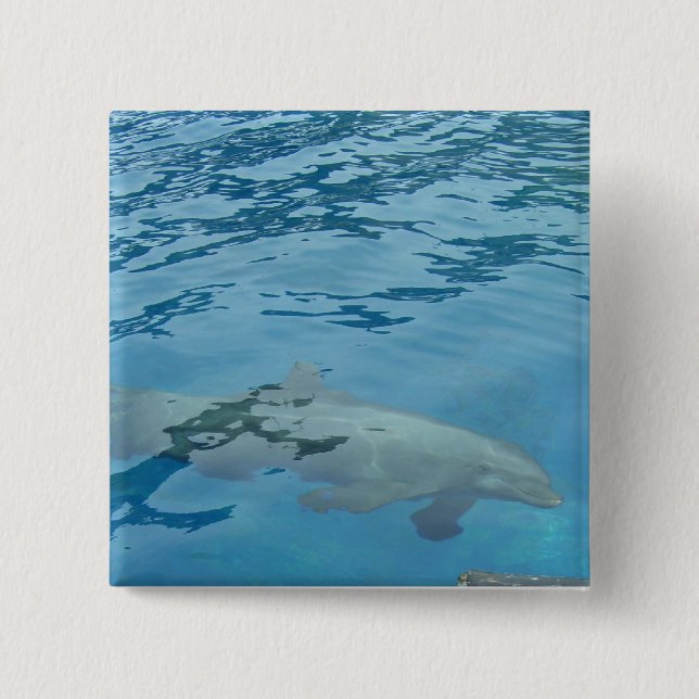 Delfin gliderar under blått vatten knapp (Framsida)