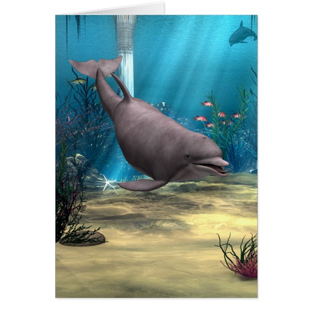 Delfin Hälsningskort (Framsidan)