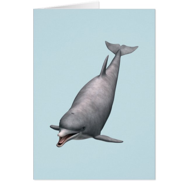 Delfin Hälsningskort (Framsidan)
