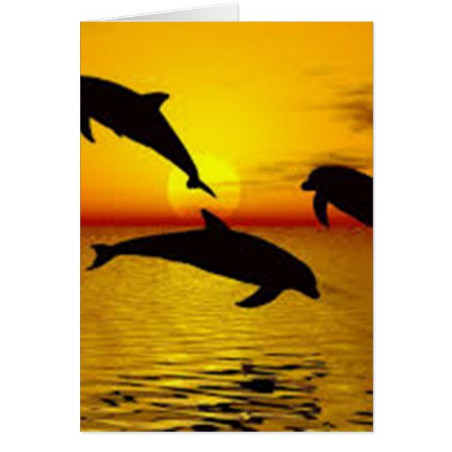 delfin hälsningskort (Framsidan)