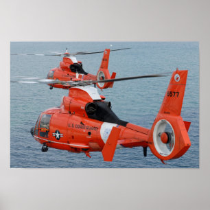Delfin HH-65 Poster