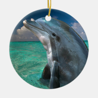 Delfin i Bahamas Julgransprydnad Keramik