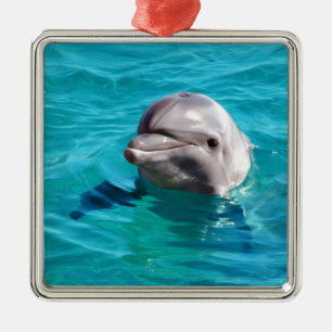 Delfin i blåttvattenfoto julgransprydnad metall