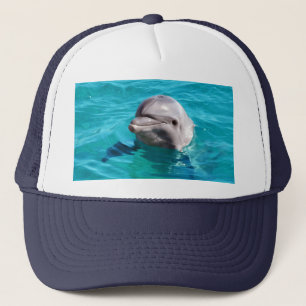 Delfin i blåttvattenfoto keps