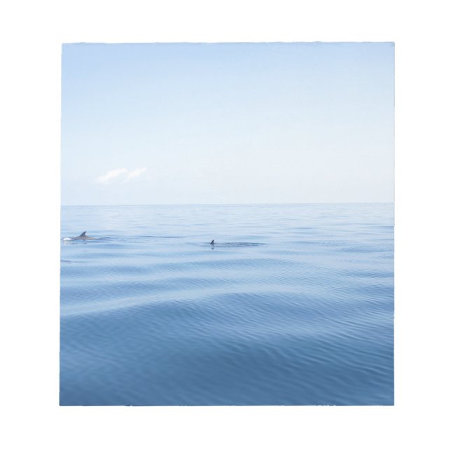 Delfin i havet anteckningsblock (Framsida)