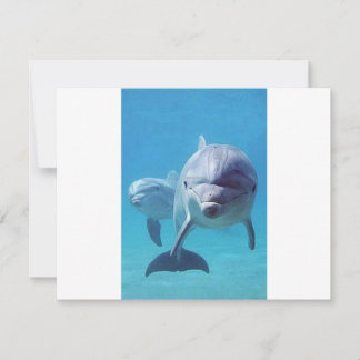 delfin II