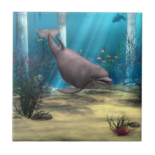 Delfin Kakelplatta