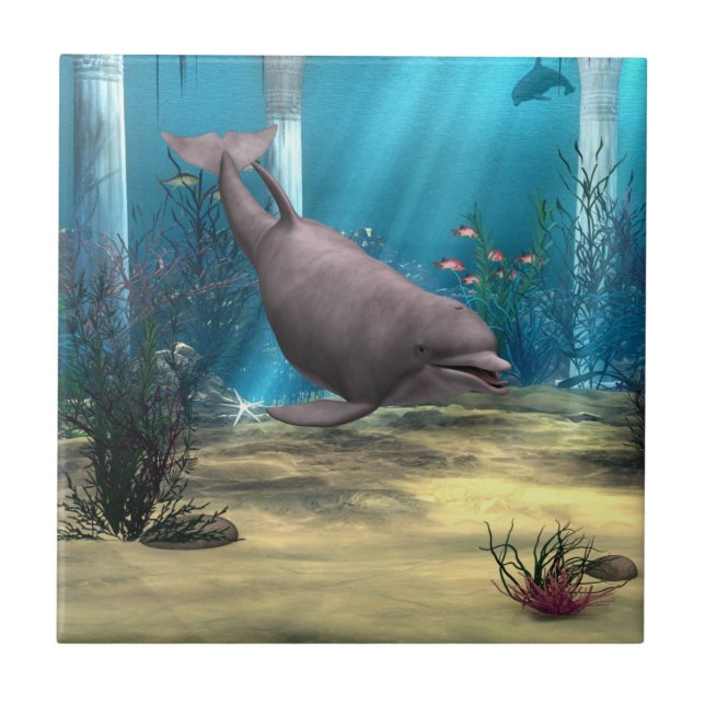 Delfin Kakelplatta (Framsidan)