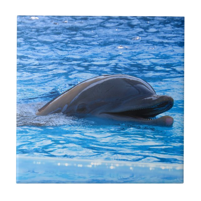 Delfin Kakelplatta (Framsidan)