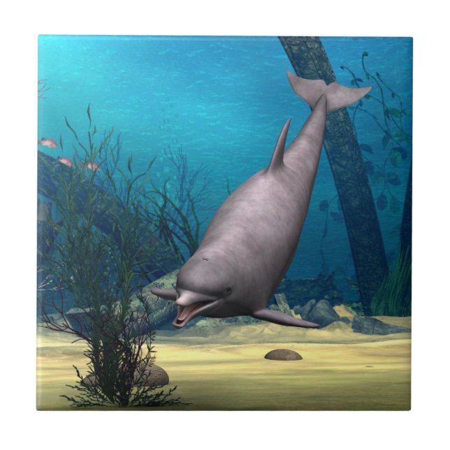 Delfin Kakelplatta (Framsidan)