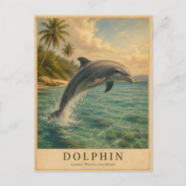 Delfin Karibiskt Vatten VINTAGE Vykort