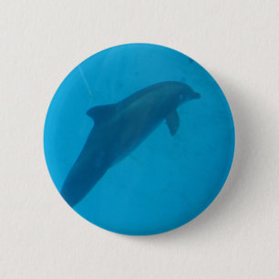 delfin knapp