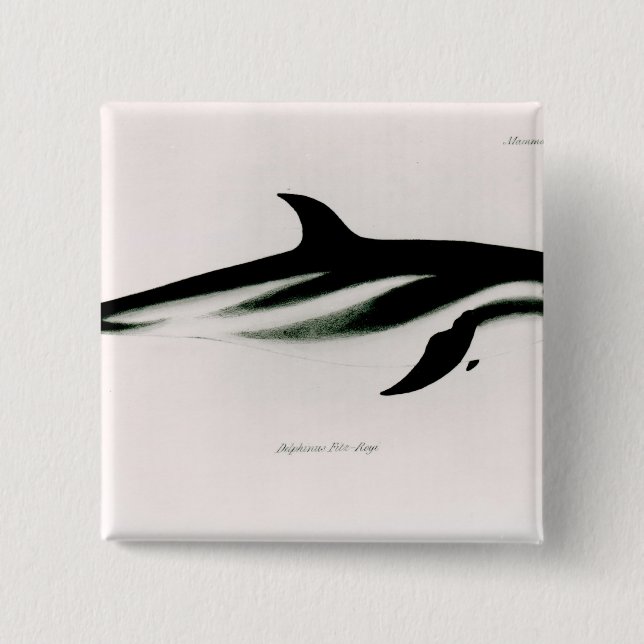 Delfin Knapp (Framsida)