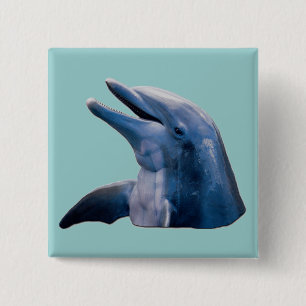 Delfin Knapp