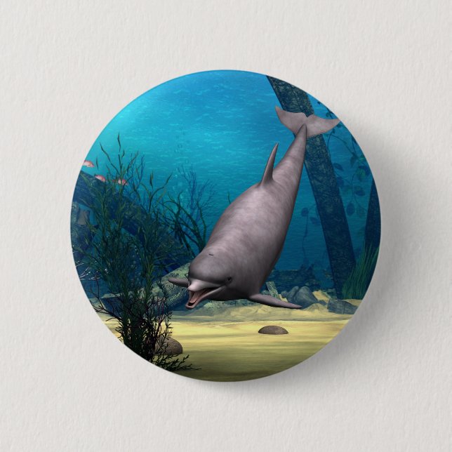 Delfin Knapp (Framsida)