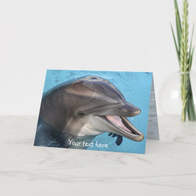Delfin, kort (Framsida)