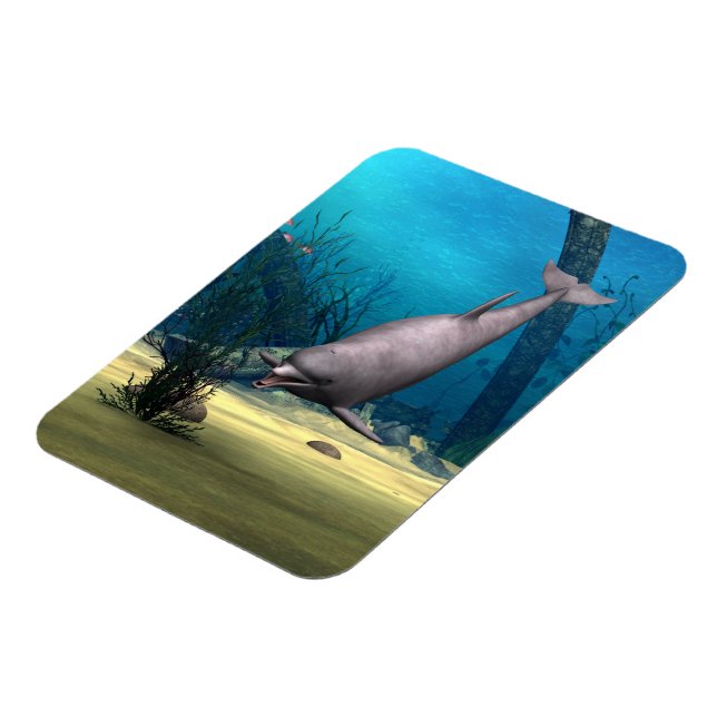 Delfin Magnet (Vänstra Sidan)